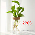 1pc, Hydroponics Plants Desktop Glass Planter Vase For Home Decoration