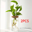 1pc, Hydroponics Plants Desktop Glass Planter Vase For Home Decoration