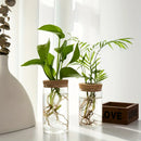 1pc, Hydroponics Plants Desktop Glass Planter Vase For Home Decoration
