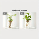 1pc, Hydroponics Plants Desktop Glass Planter Vase For Home Decoration
