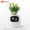 AI Smart Planter – Grow Plants Easily with Tuya Technology