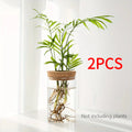 1pc, Hydroponics Plants Desktop Glass Planter Vase For Home Decoration