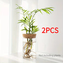 1pc, Hydroponics Plants Desktop Glass Planter Vase For Home Decoration