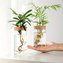 1pc, Hydroponics Plants Desktop Glass Planter Vase For Home Decoration