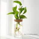 1pc, Hydroponics Plants Desktop Glass Planter Vase For Home Decoration