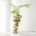 1pc, Hydroponics Plants Desktop Glass Planter Vase For Home Decoration