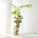 1pc, Hydroponics Plants Desktop Glass Planter Vase For Home Decoration