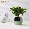 AI Smart Planter – Grow Plants Easily with Tuya Technology