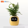 AI Smart Planter – Grow Plants Easily with Tuya Technology